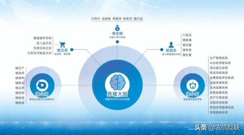 數(shù)字農(nóng)業(yè)賦能鄉(xiāng)村振興——農(nóng)業(yè)農(nóng)村部2021年新技術(shù)新產(chǎn)品新模式優(yōu)秀案例發(fā)布